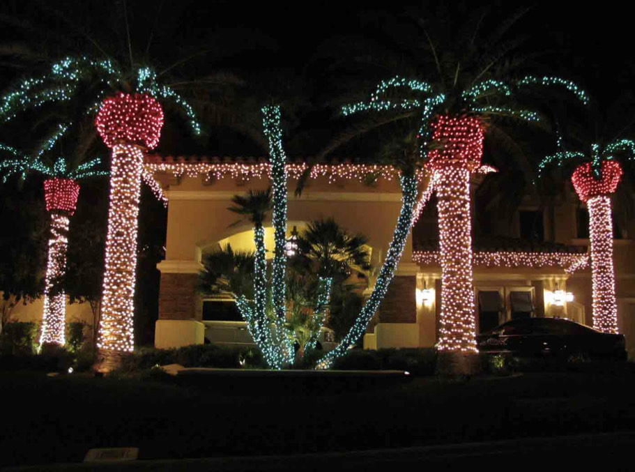 PalmTreeLights | Holiday Lights, Inc.