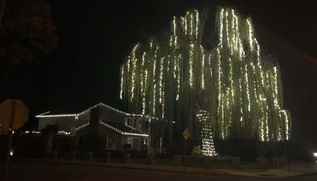 Holiday Lights, Inc. Portfolio Holiday Lights, Inc.